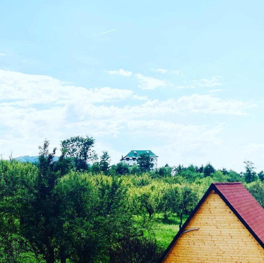 Cabanele Lu' Dinu Curtea de Argeş Exterior foto
