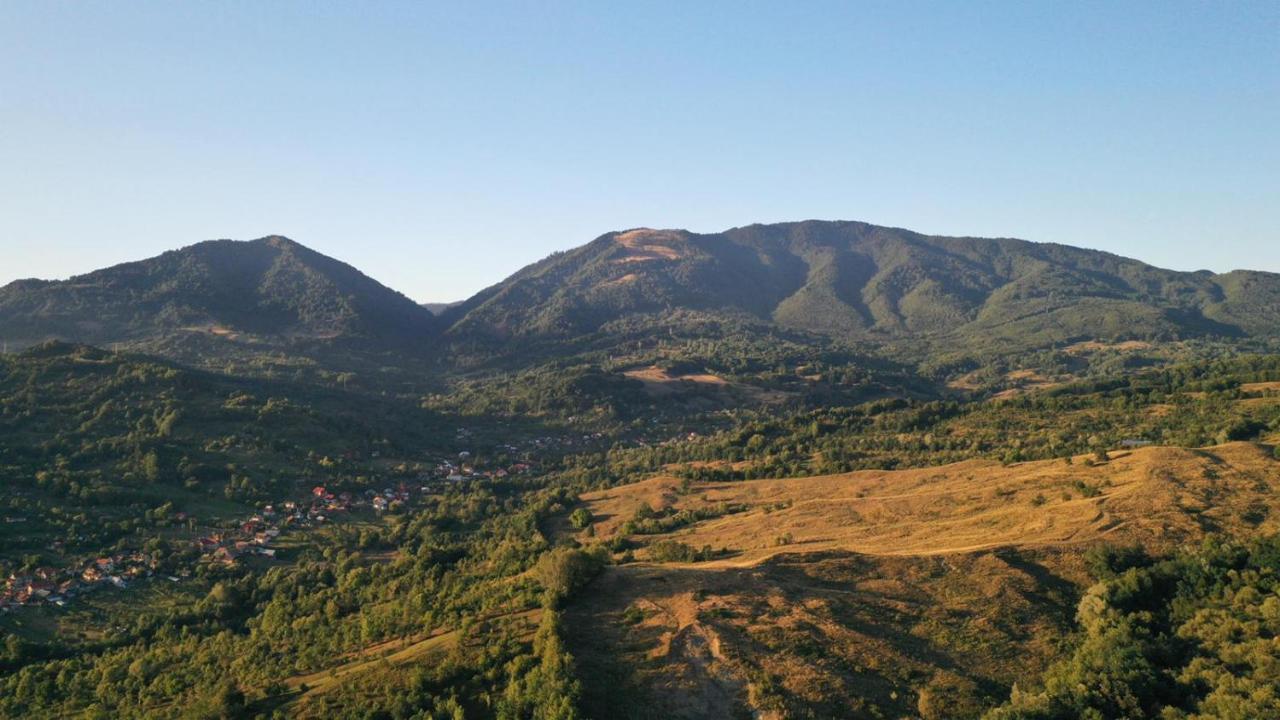 Cabanele Lu' Dinu Curtea de Argeş Exterior foto