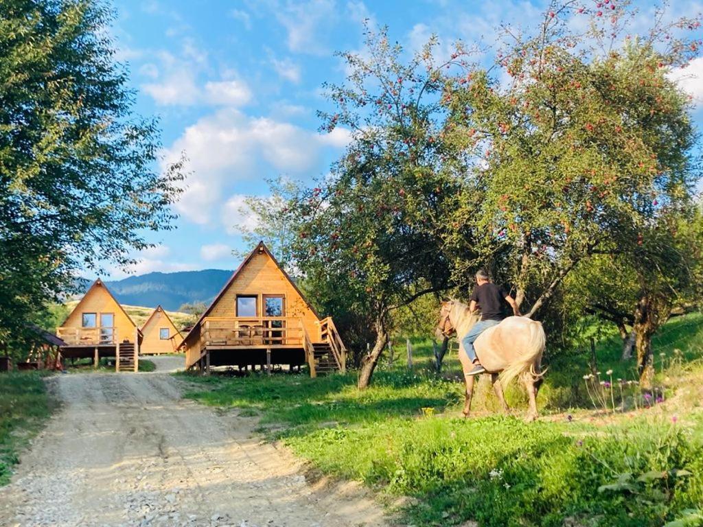 Cabanele Lu' Dinu Curtea de Argeş Exterior foto