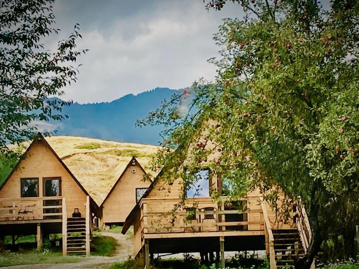 Cabanele Lu' Dinu Curtea de Argeş Exterior foto
