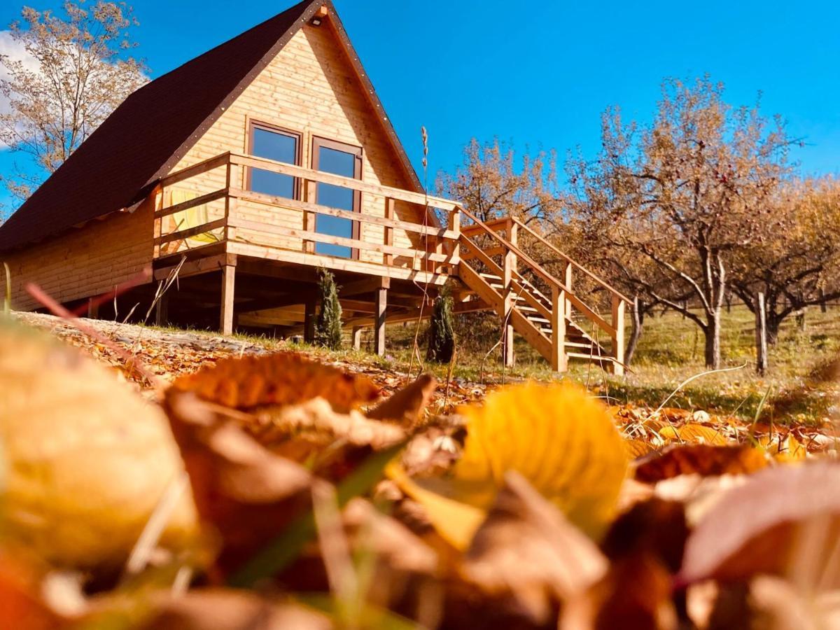 Cabanele Lu' Dinu Curtea de Argeş Exterior foto